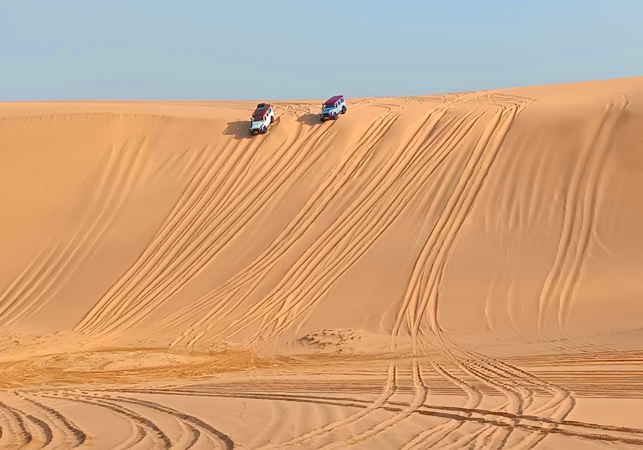 IBA5IAF_eW8